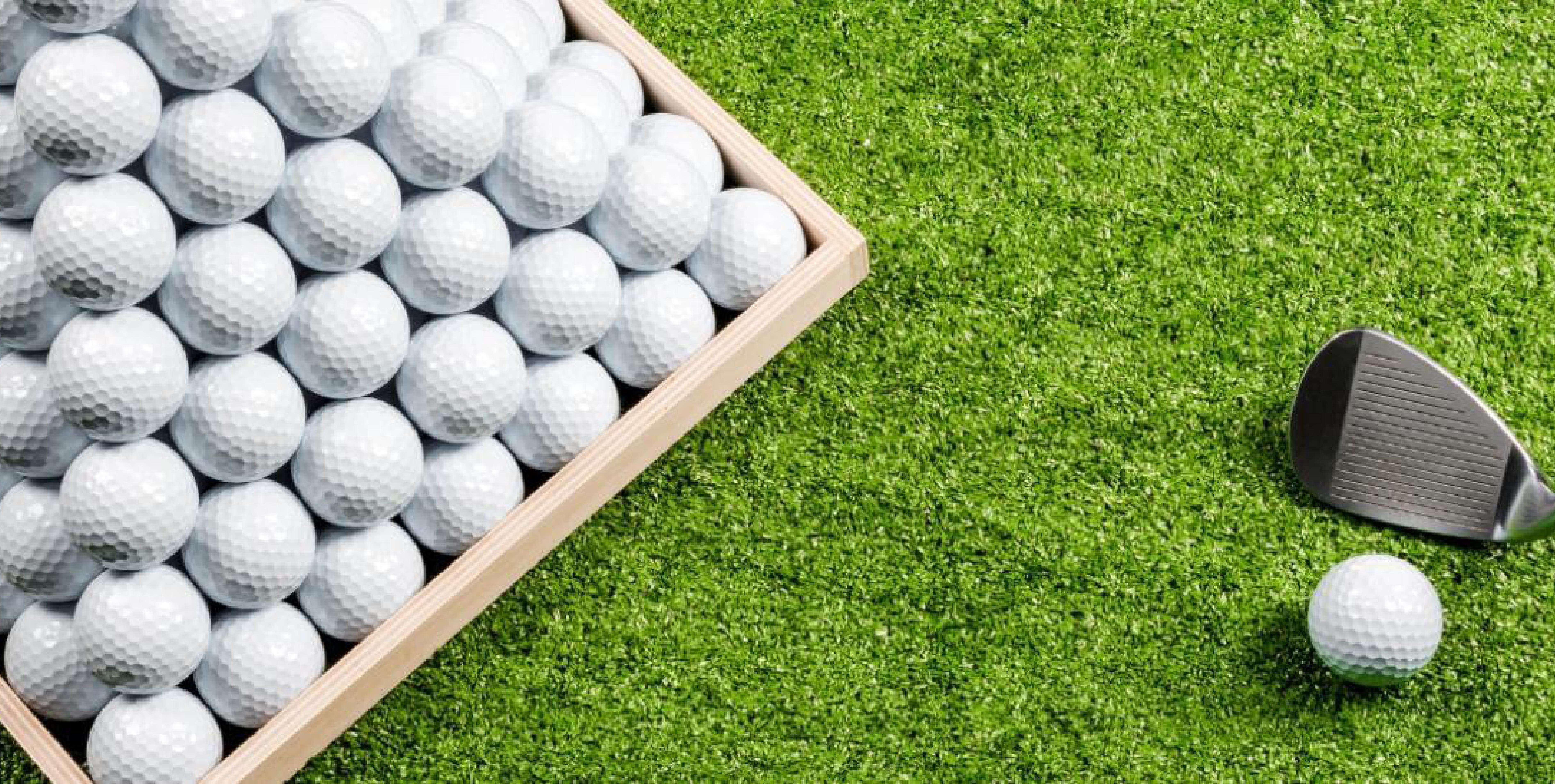 Indoor and Outdoor Pickleball Courts